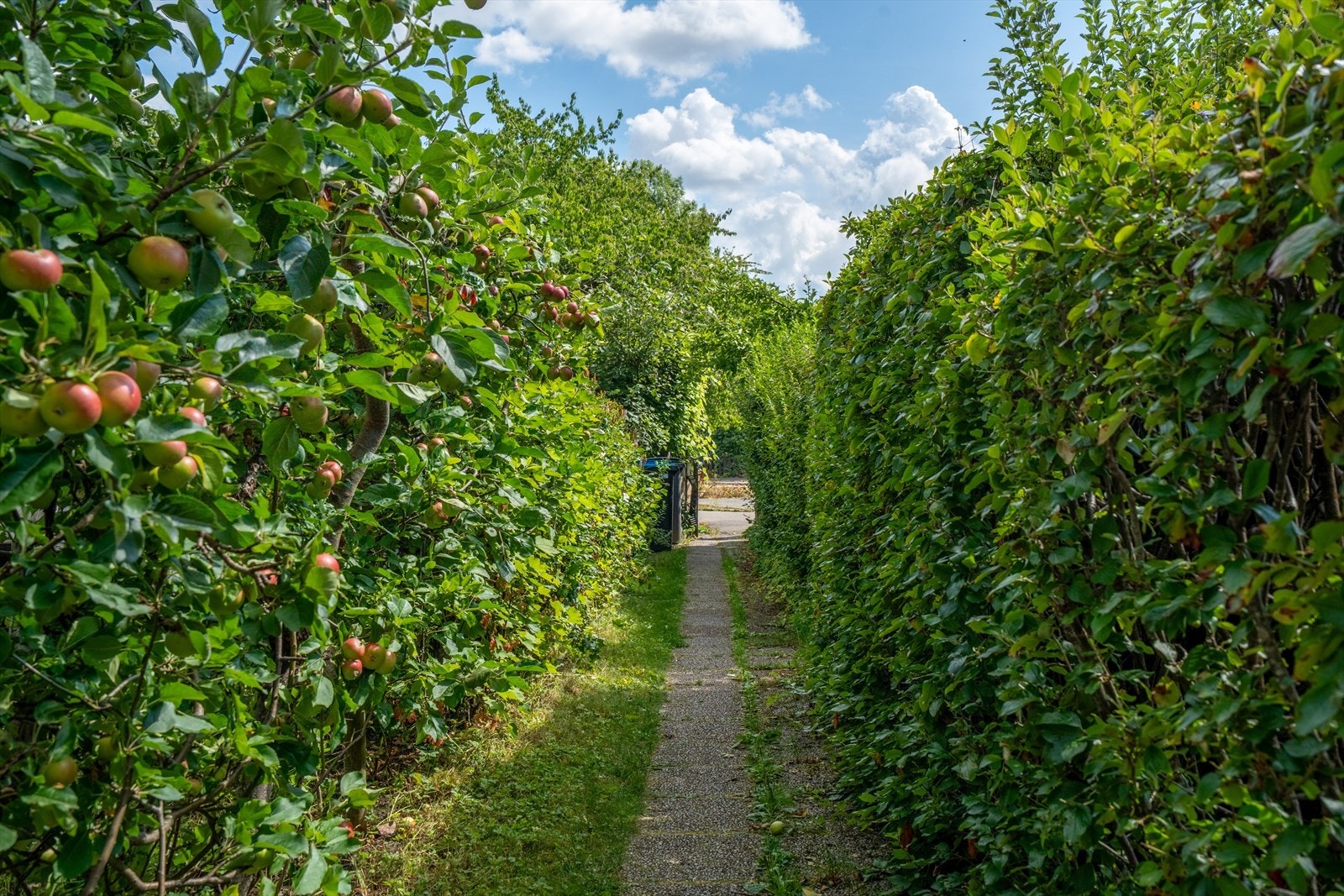 Nydelig inngangsparti opp til boligen. Galleribilde