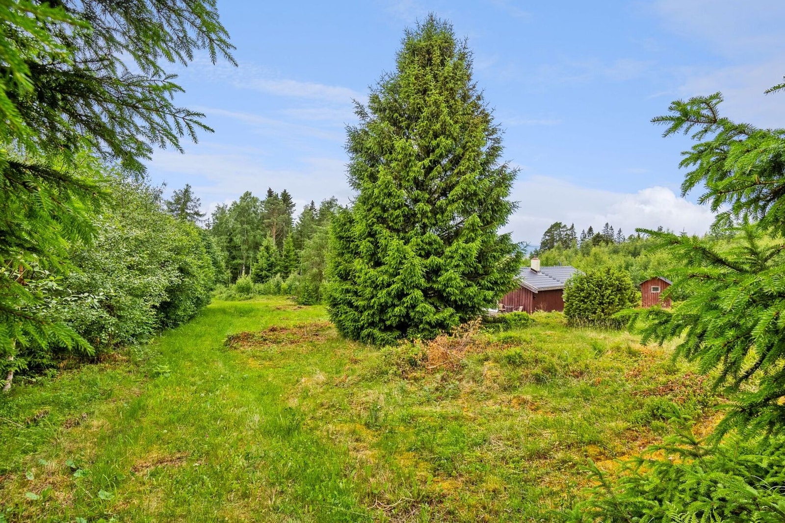 Hagen byr på mye boltreplass, og her er det rom for en rekke aktiviteter året rundt. Galleribilde