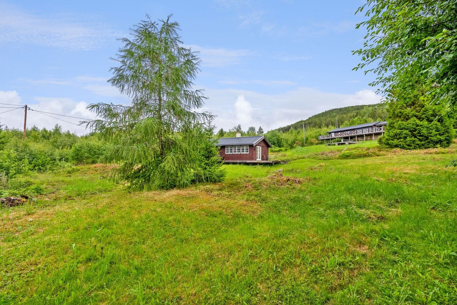 Velkommen til visning! Galleribilde