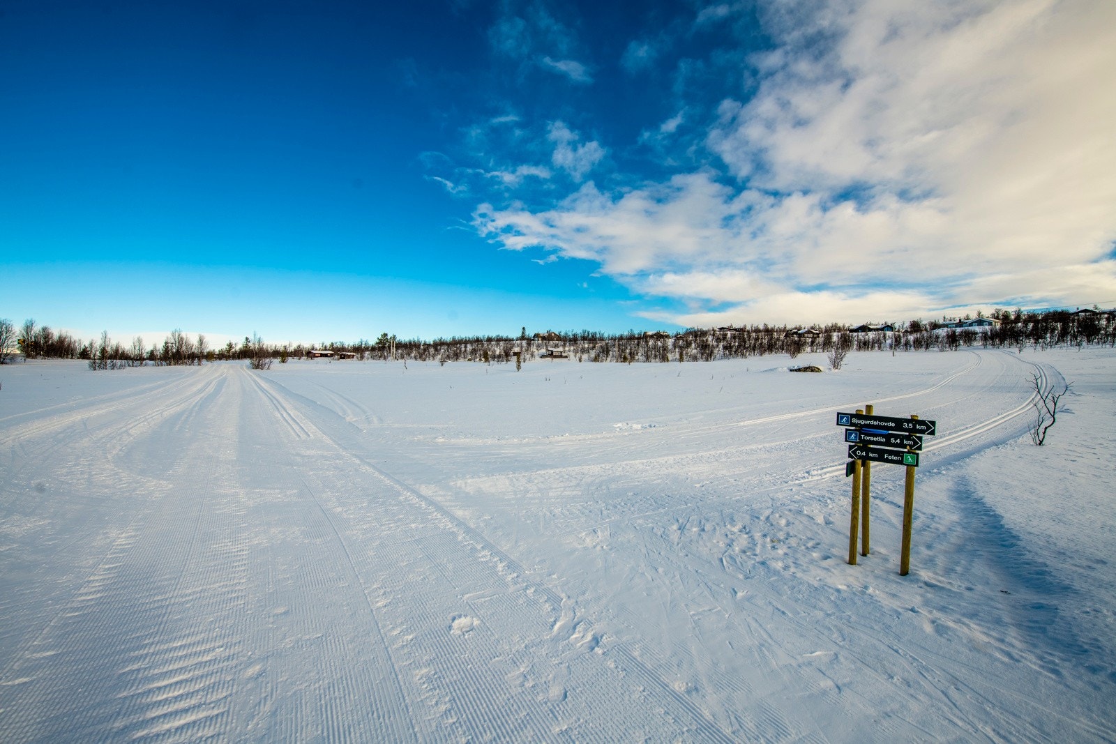 Supre skiløyper i umiddelbar nærhet Galleribilde