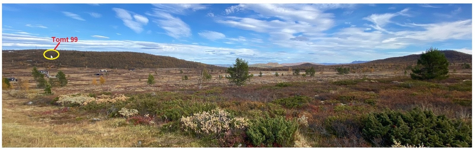 Tomt 99 sett fra syd-vest Galleribilde