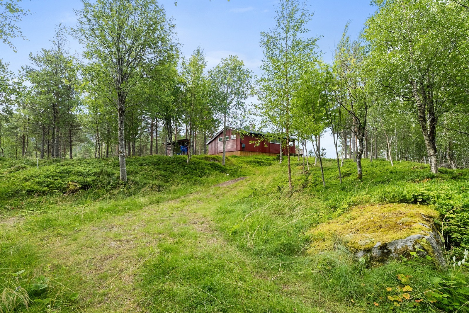 Parkeringsområde på eiendommen. Galleribilde