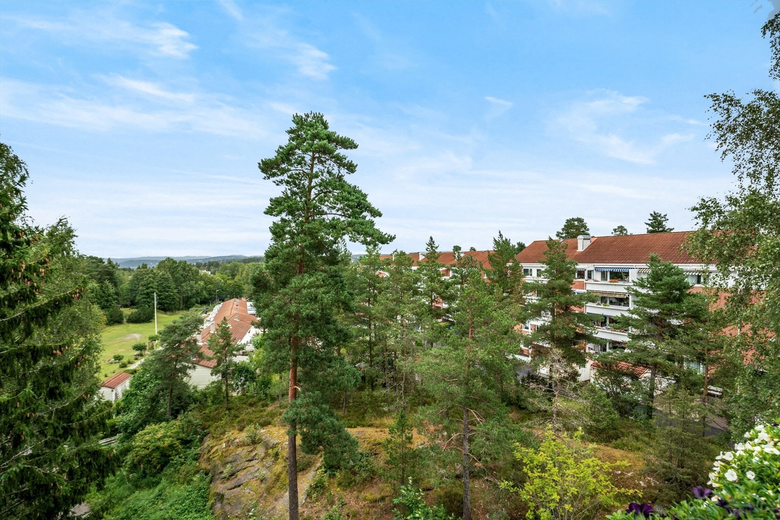 Det er store grøntområder rundt og mellom bebyggelsen på eiendommen. Galleribilde
