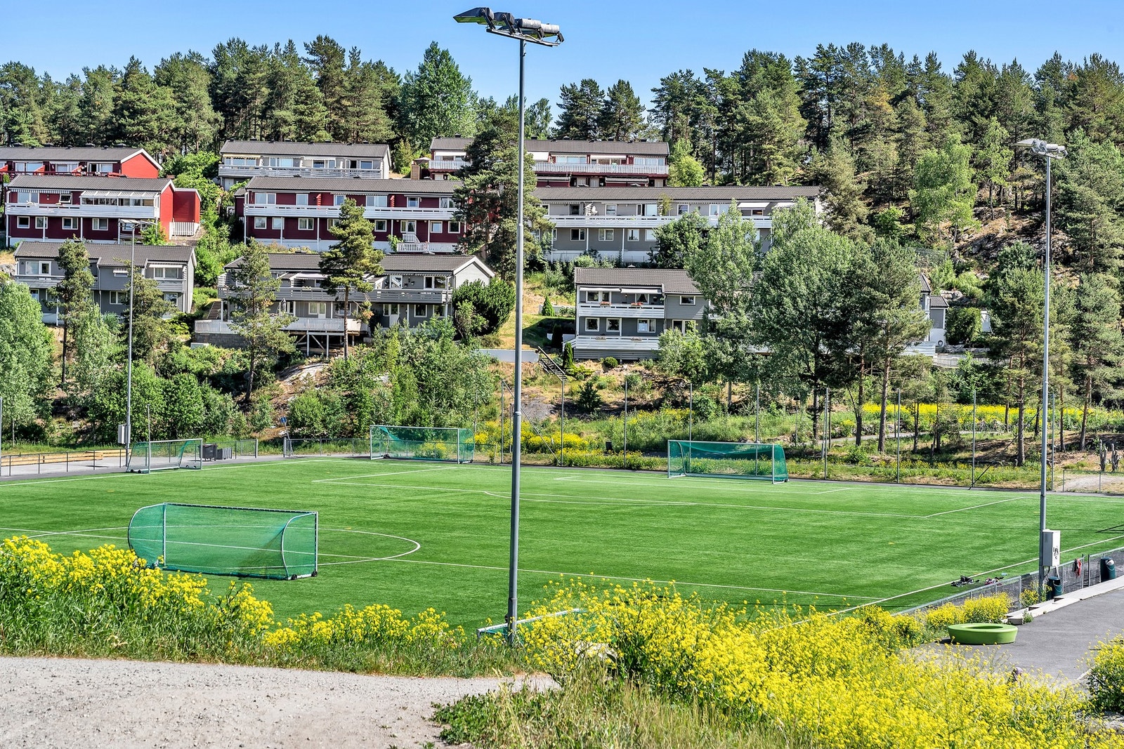 Bilder fra nærområdet. Galleribilde