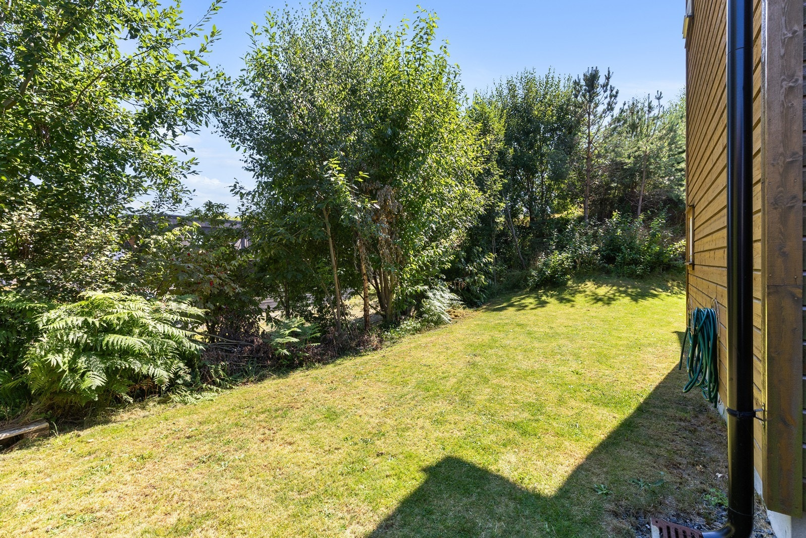 Hageområdet. Galleribilde