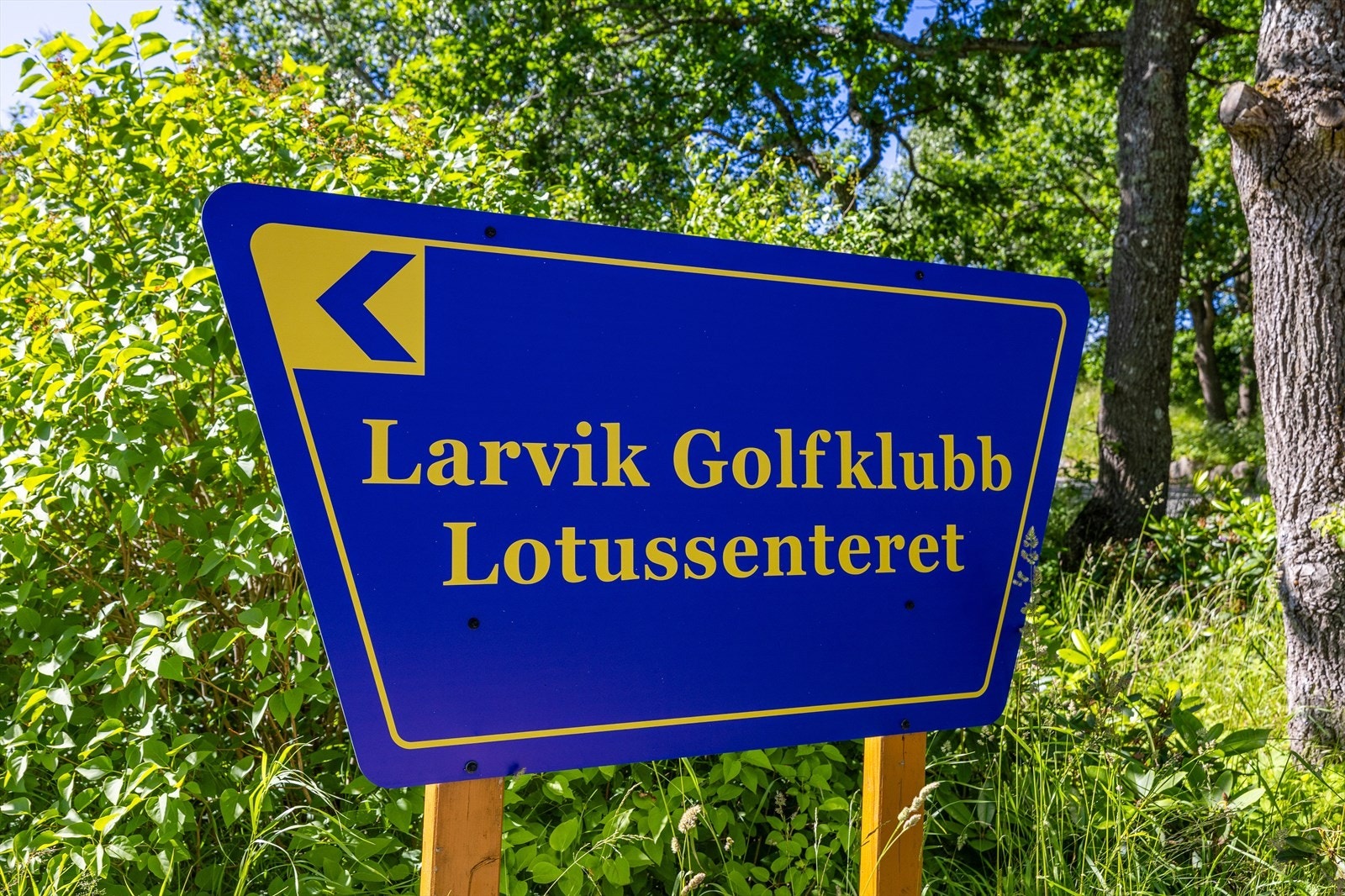 Larvik Golfklubb.jpg Galleribilde