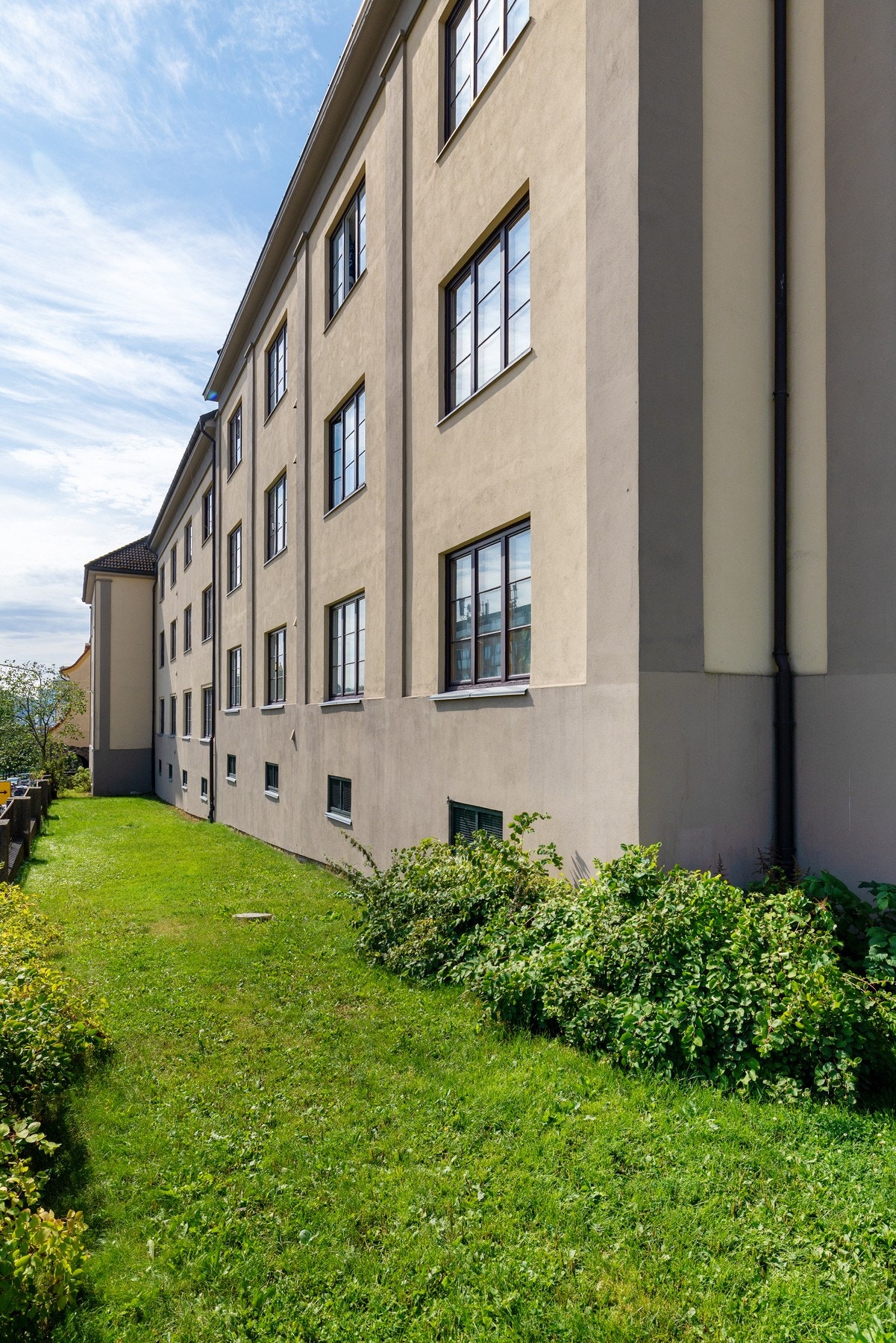 Vakre, grønne omgivelser. Galleribilde