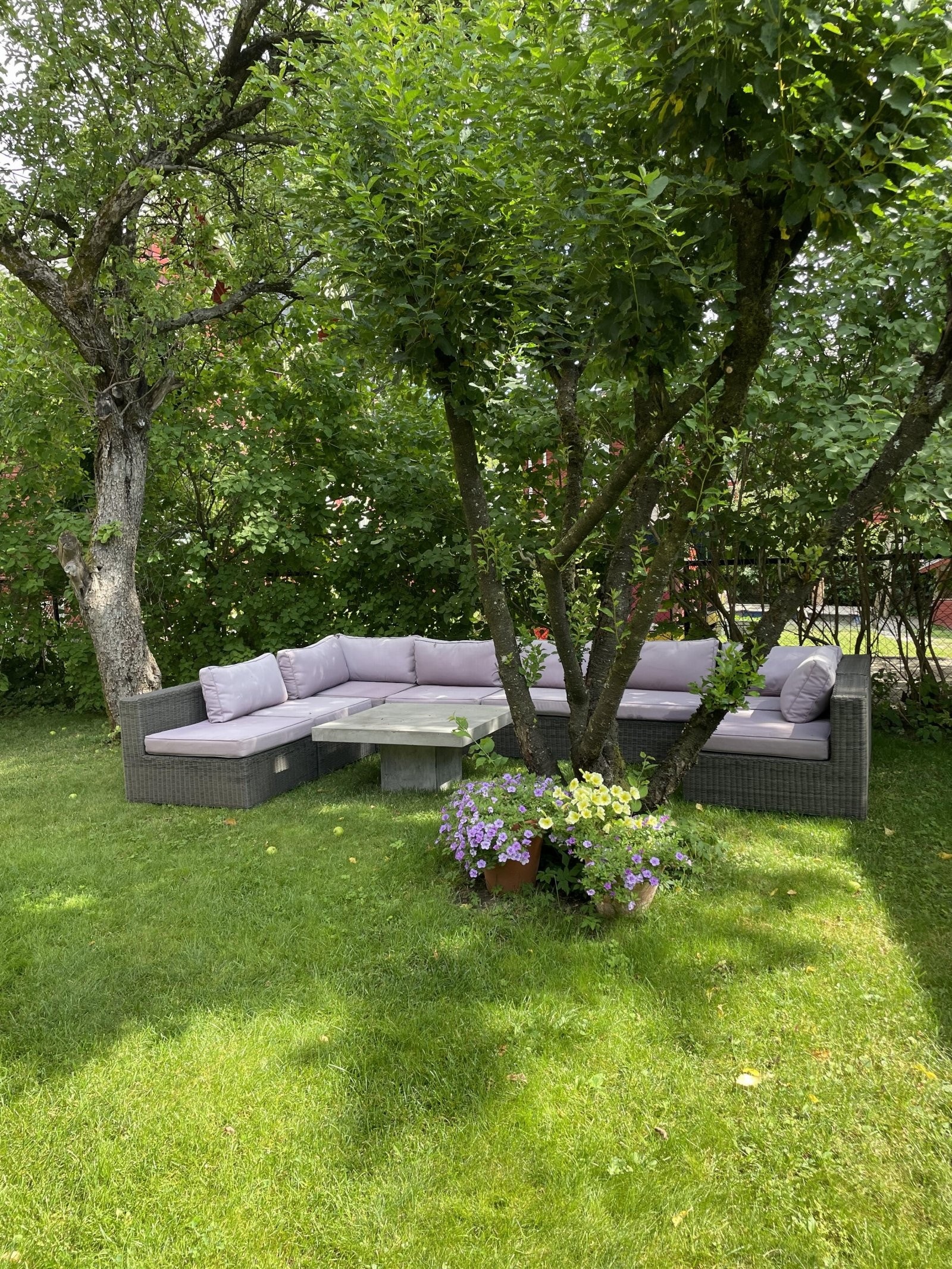 Sommerbilde av den vakre og frodige hagen tatt av selger. Galleribilde