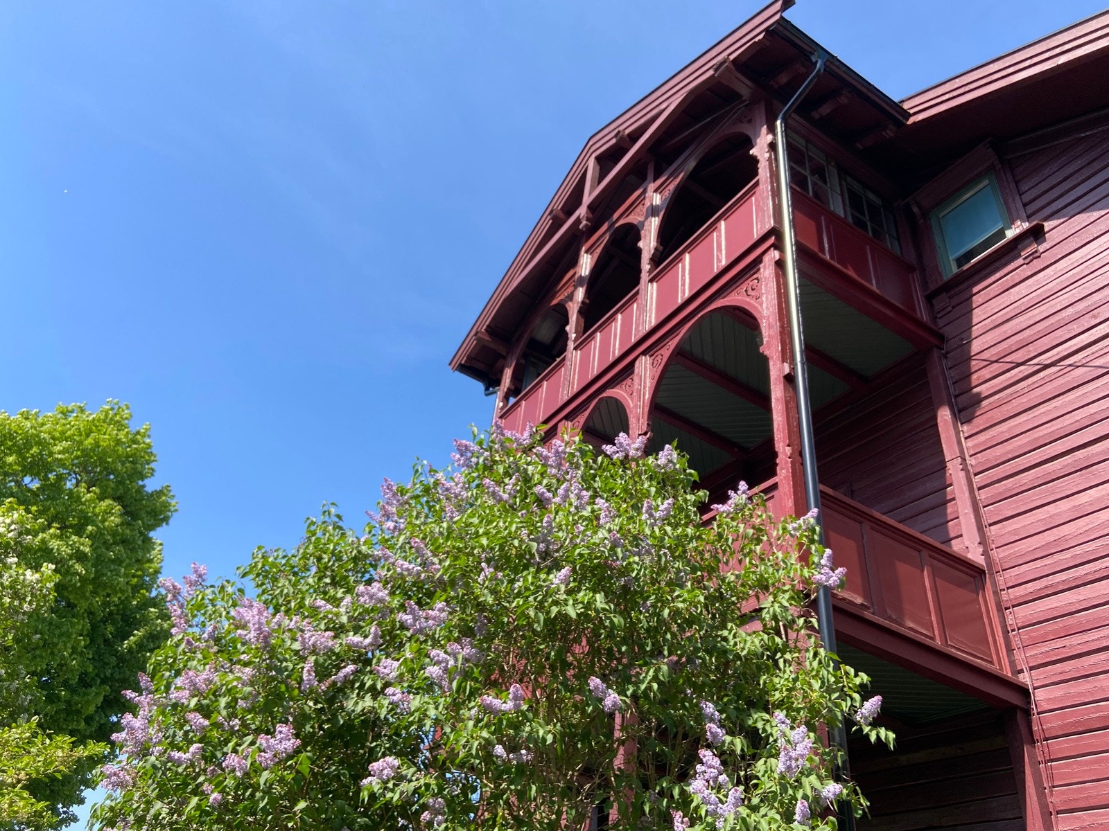 Sommerbilde av den vakre og frodige hagen tatt av selger. Galleribilde