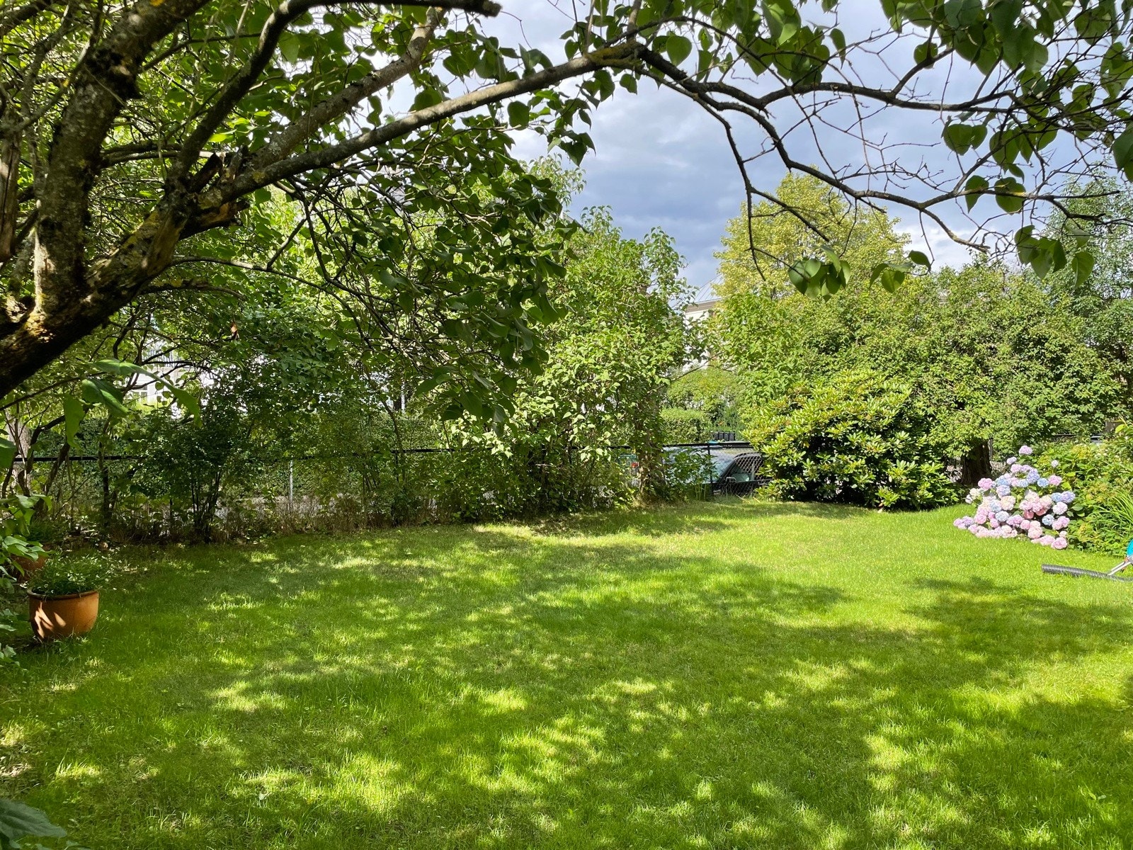 Sommerbilde av den vakre og frodige hagen tatt av selger. Galleribilde