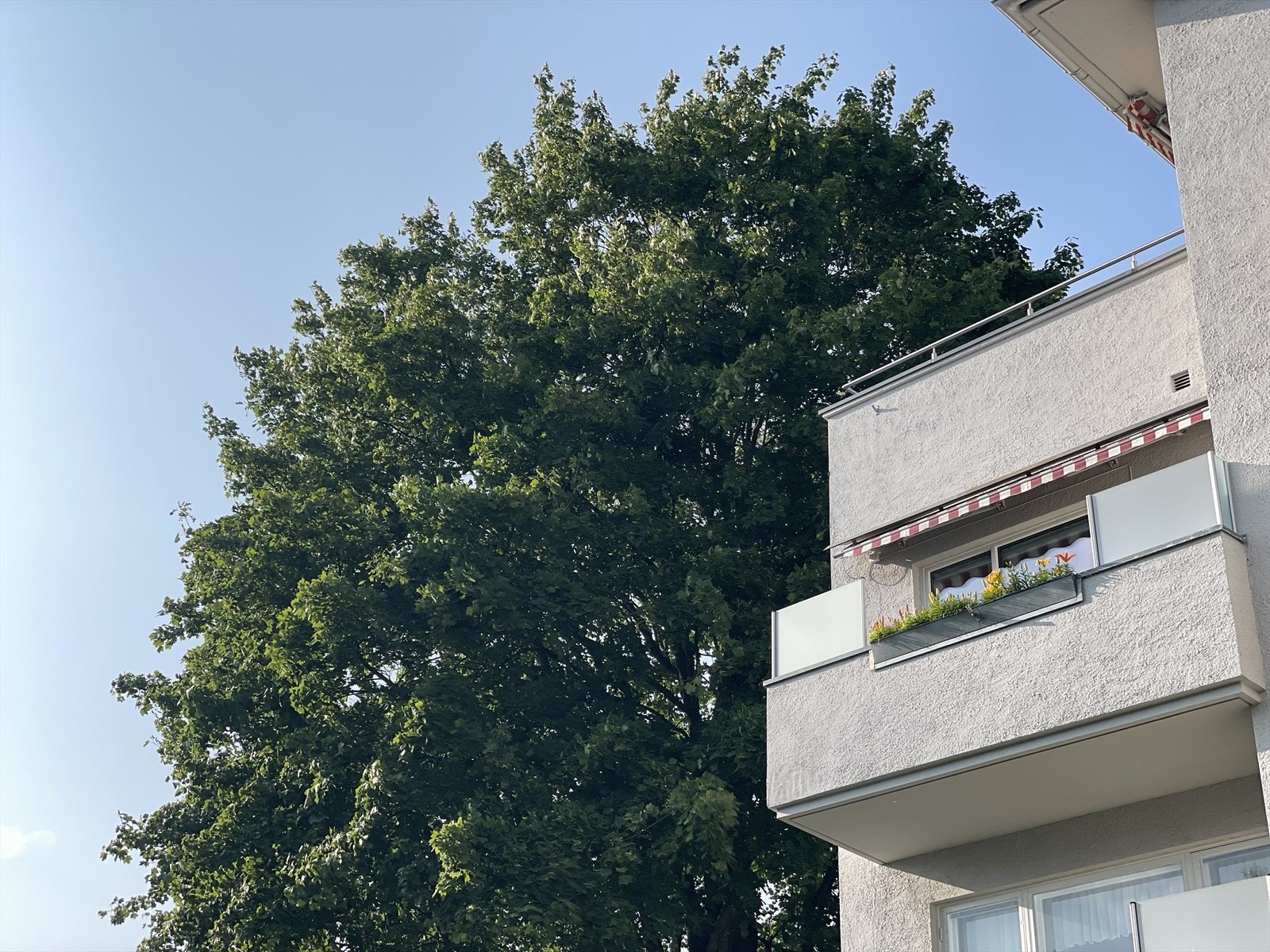 Endeleilighet rikelig med sol Galleribilde