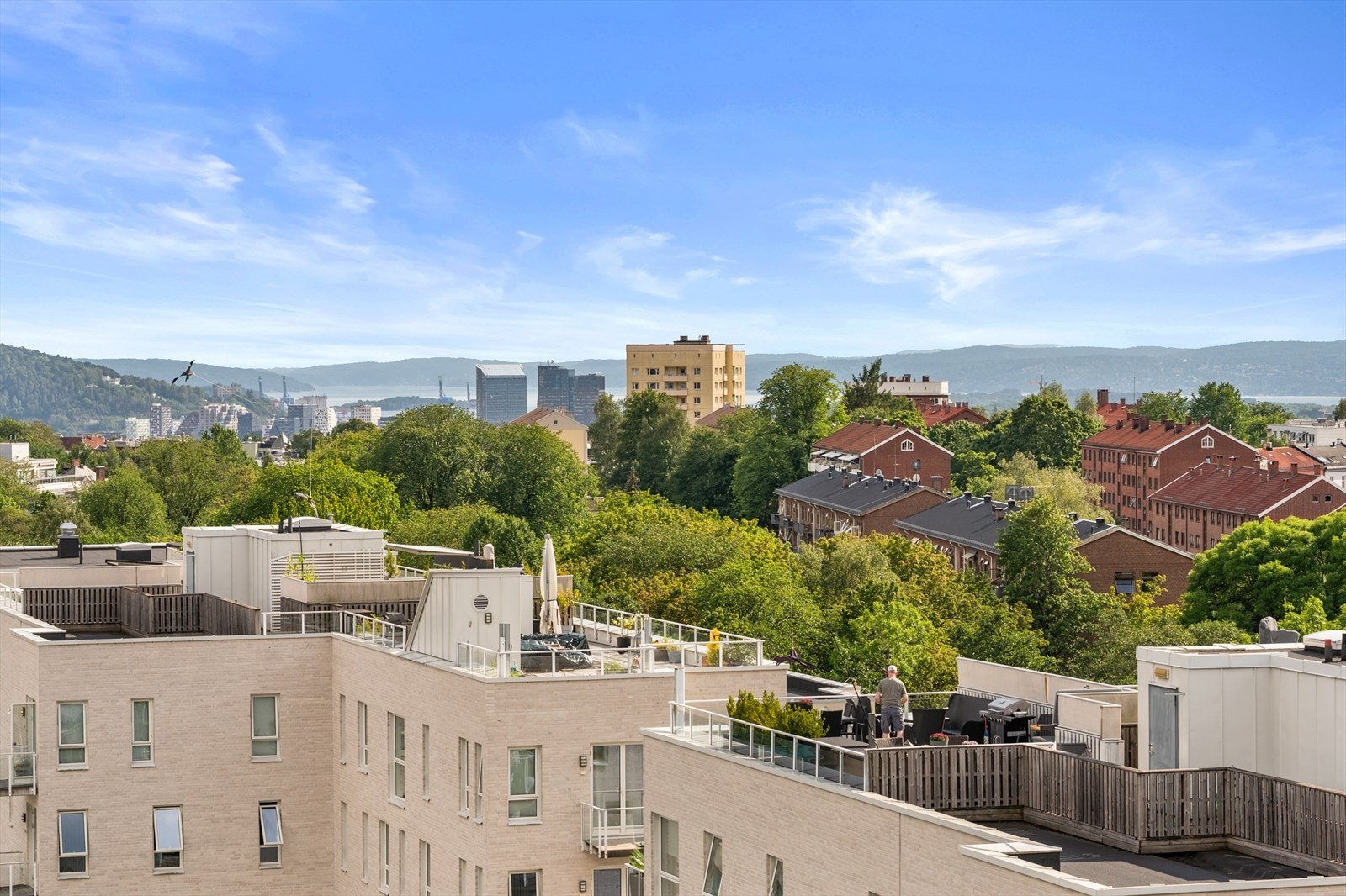 Fantastisk utsikt over Oslo. Galleribilde