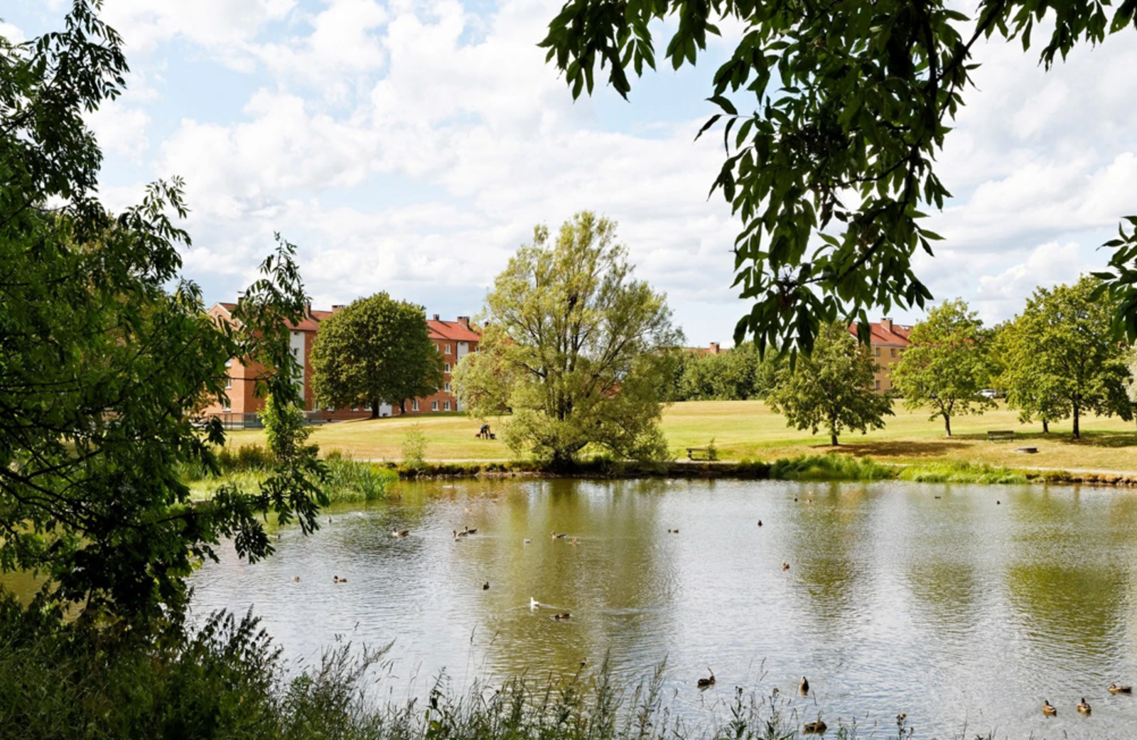 Vakre Hovindammen. Galleribilde