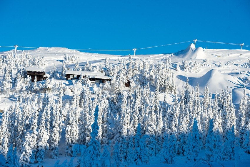 Nesfjellet - Fjellheisen. Galleribilde