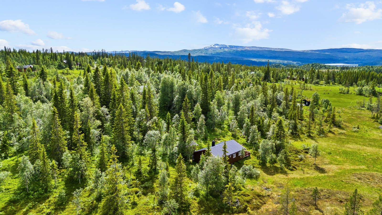 Dronefoto Galleribilde