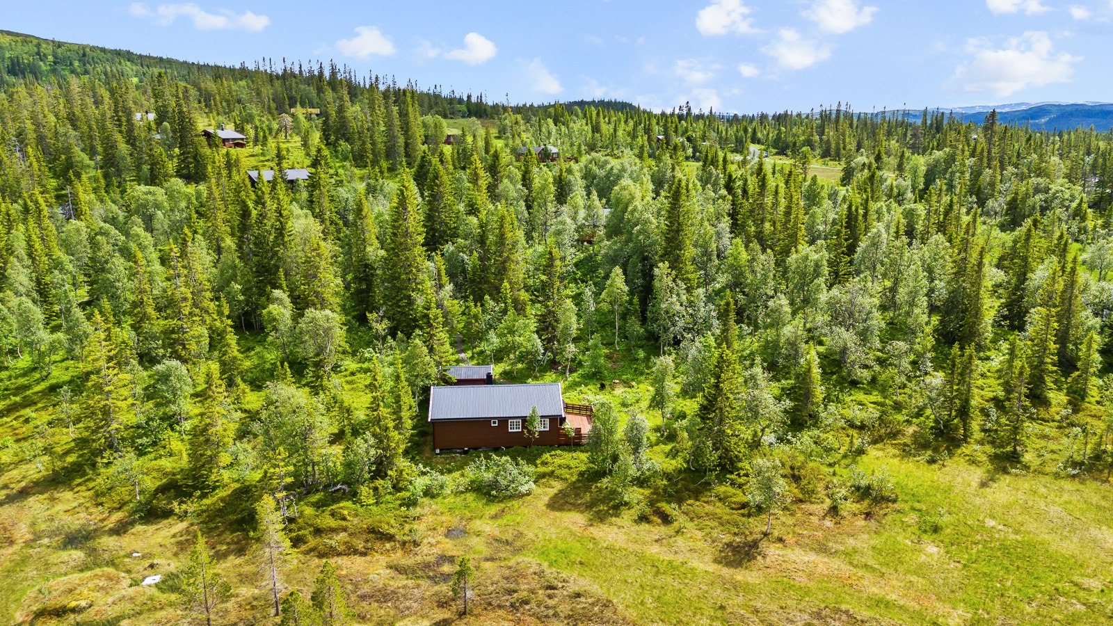 En velholdt hytte med fin og skjermet beliggenhet. Galleribilde