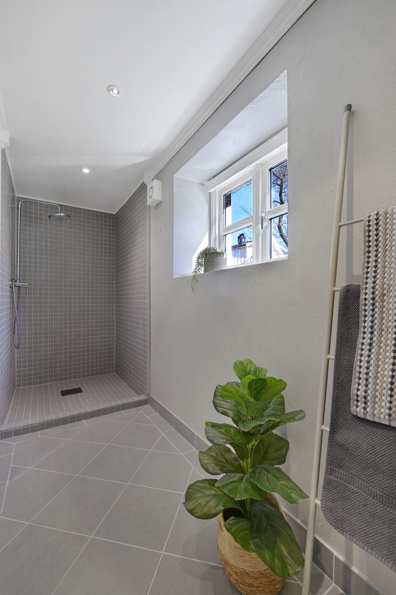 Romslig dusjnisje med rainfall dusj Galleribilde