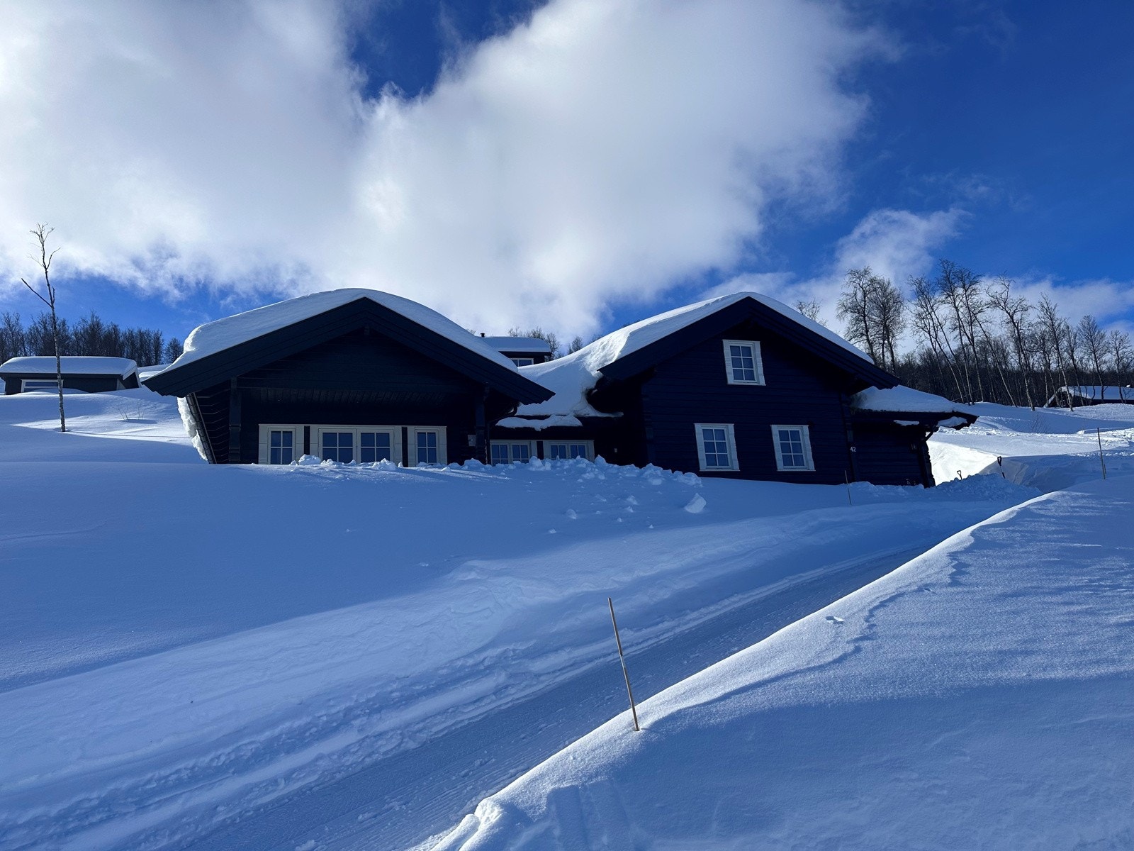 Winterwonderland Galleribilde