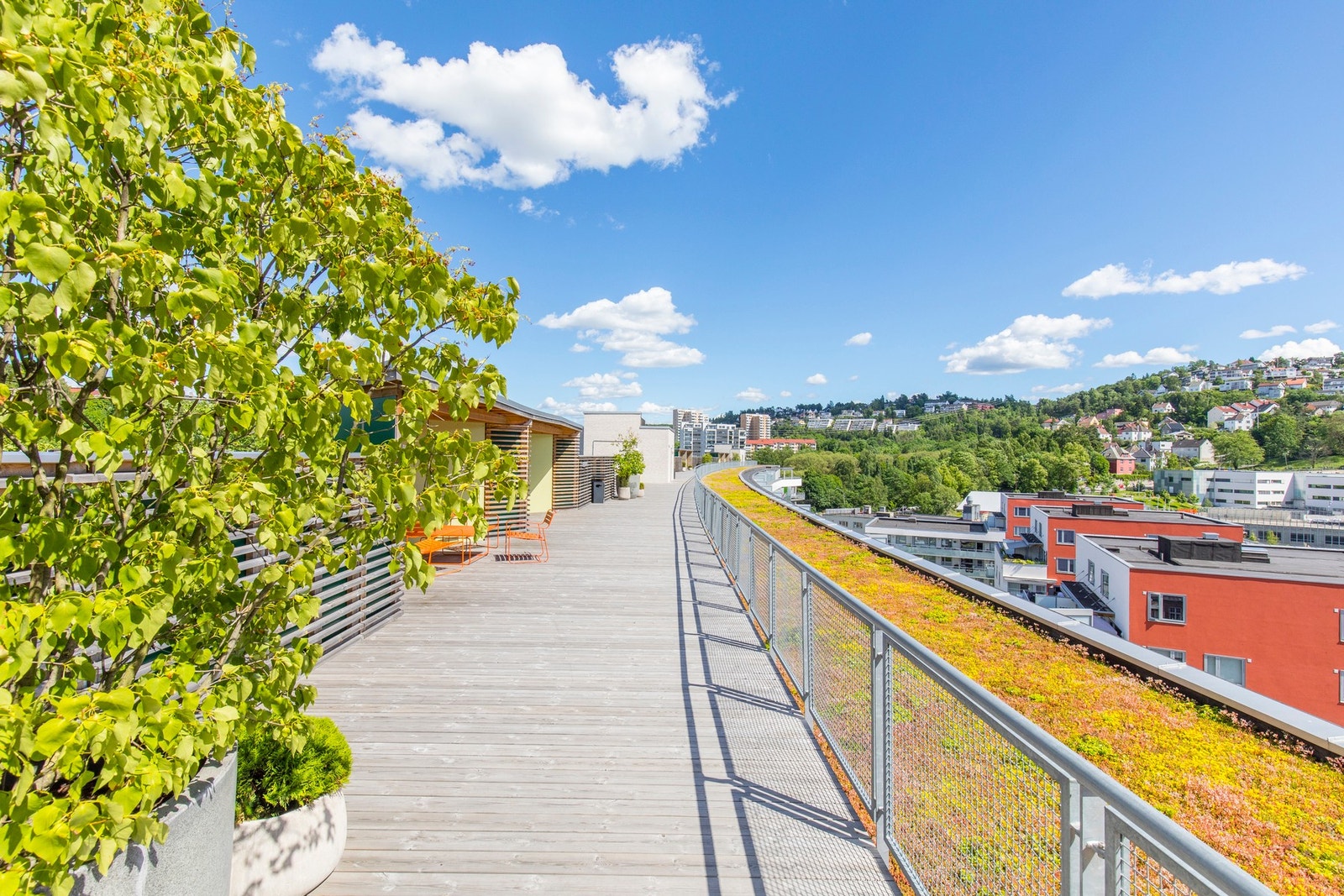 Borettslaget har en flott og frodig takterrasse. Galleribilde