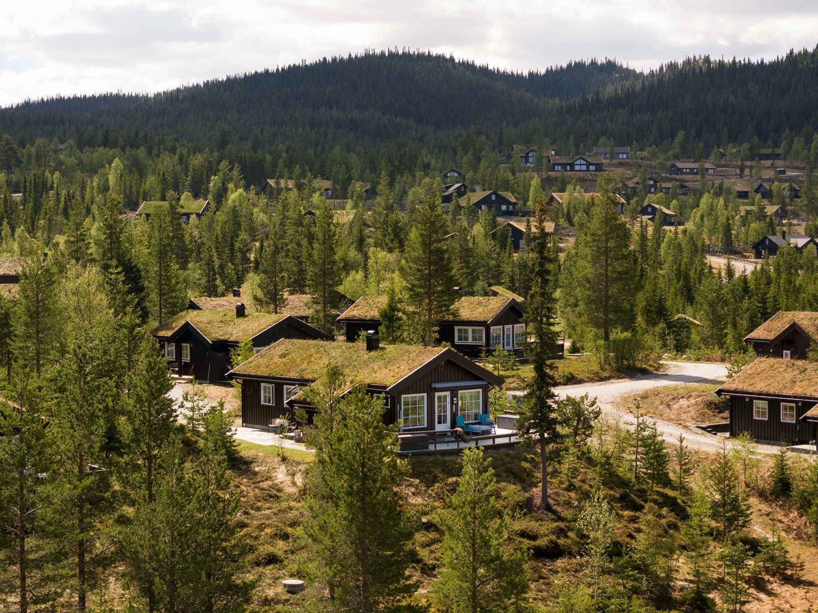 Privatmegleren Hallingdal v/ June Langeland har gleden av å presentere Vestre Tverrlie 49, en sentralt beliggende familiehytte med utsikt over golfbanen! Galleribilde