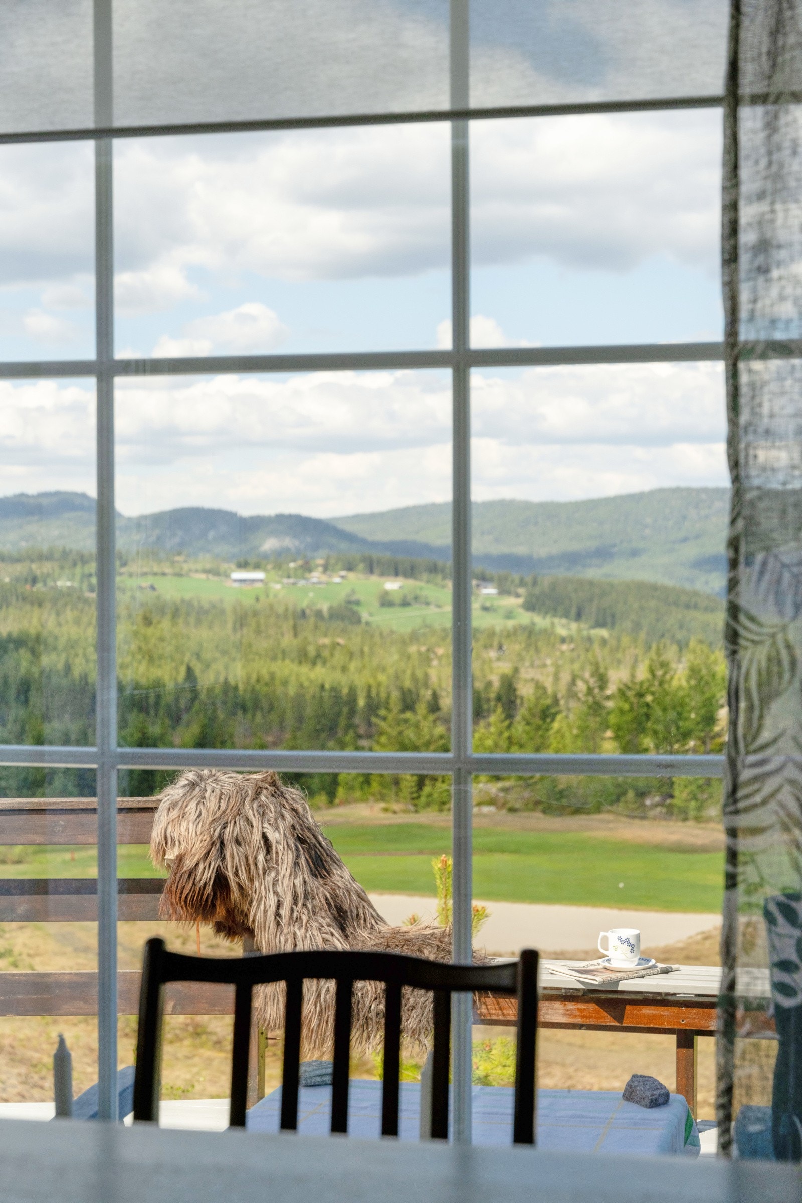 Gjennom de store vinduene i stuen er det fantastisk utsikt over naturen på Nesfjellet og den kjente høyfjellsgolfbanen. Galleribilde