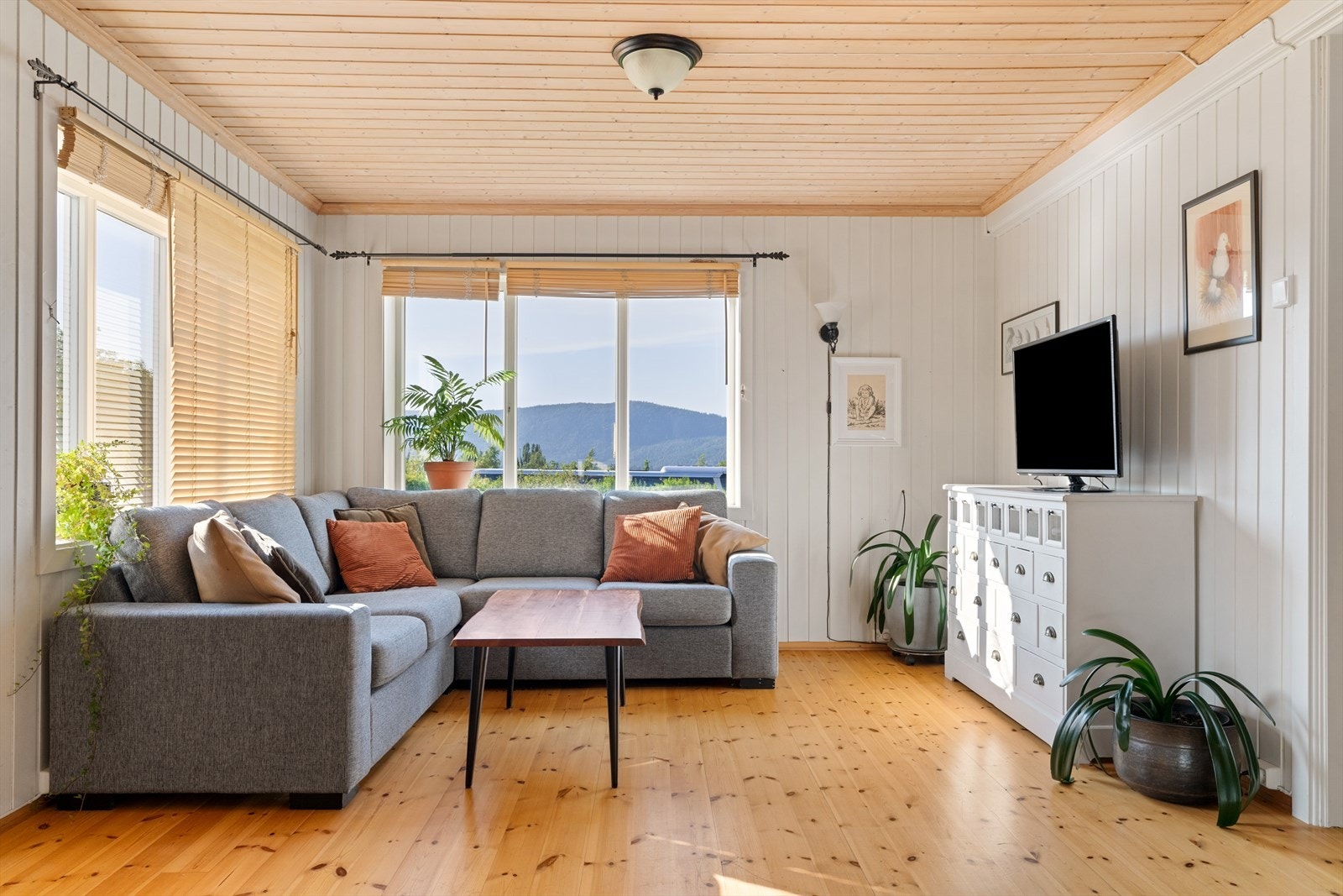 Koselig stuedel med sofrakrok og tv-oppsett Galleribilde