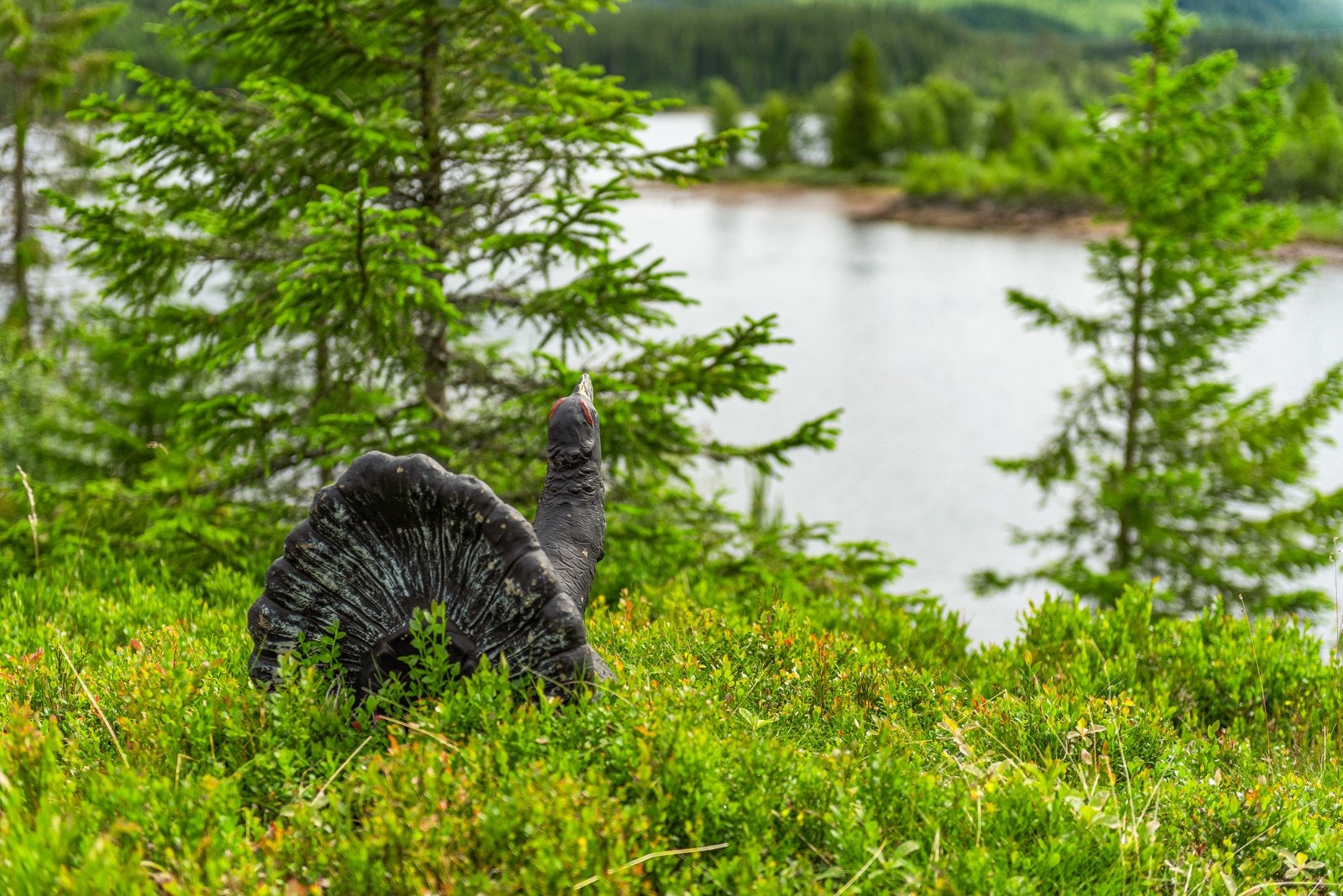 Tomtedetalj Galleribilde