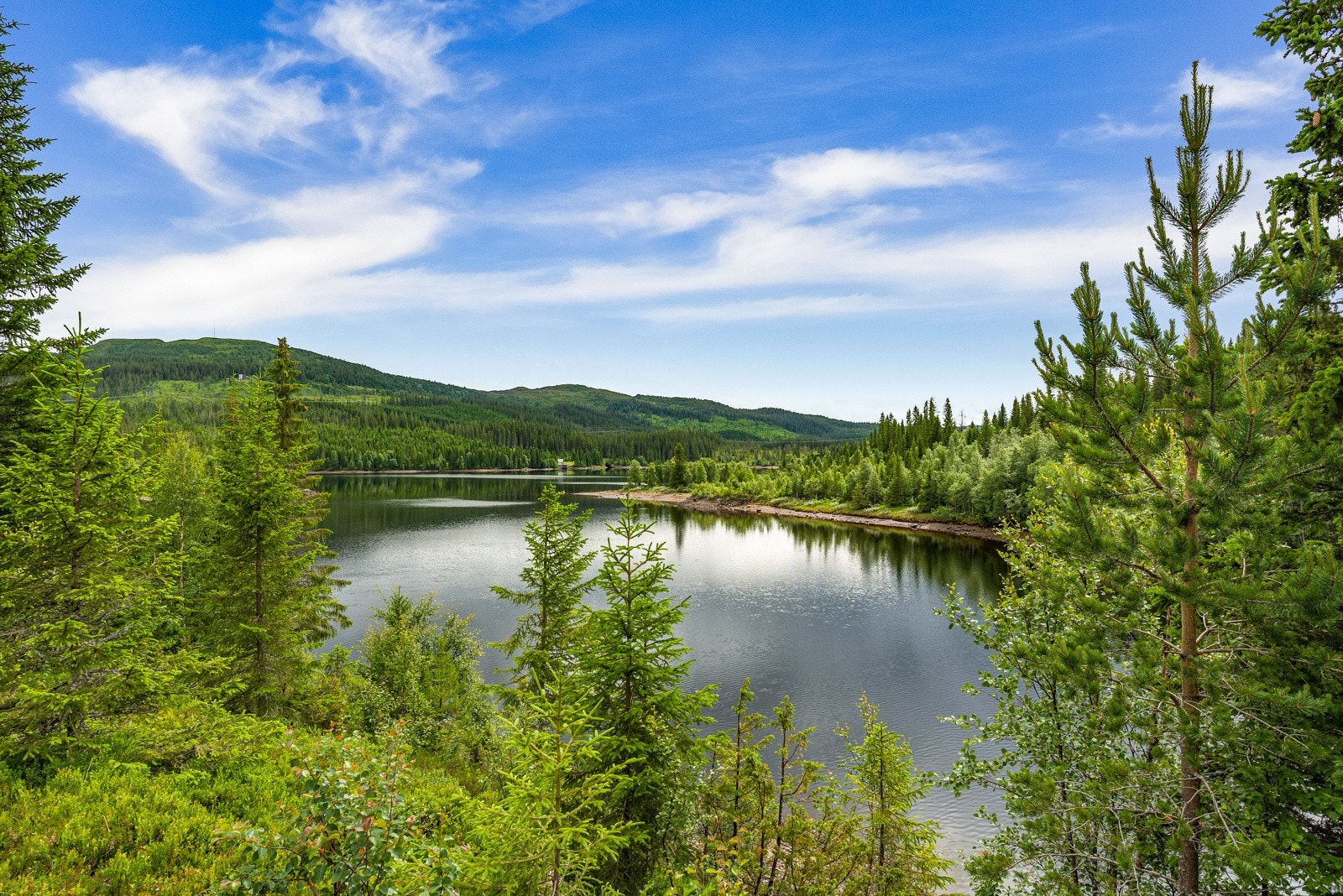 Utsikt fra terrassehøyden Galleribilde