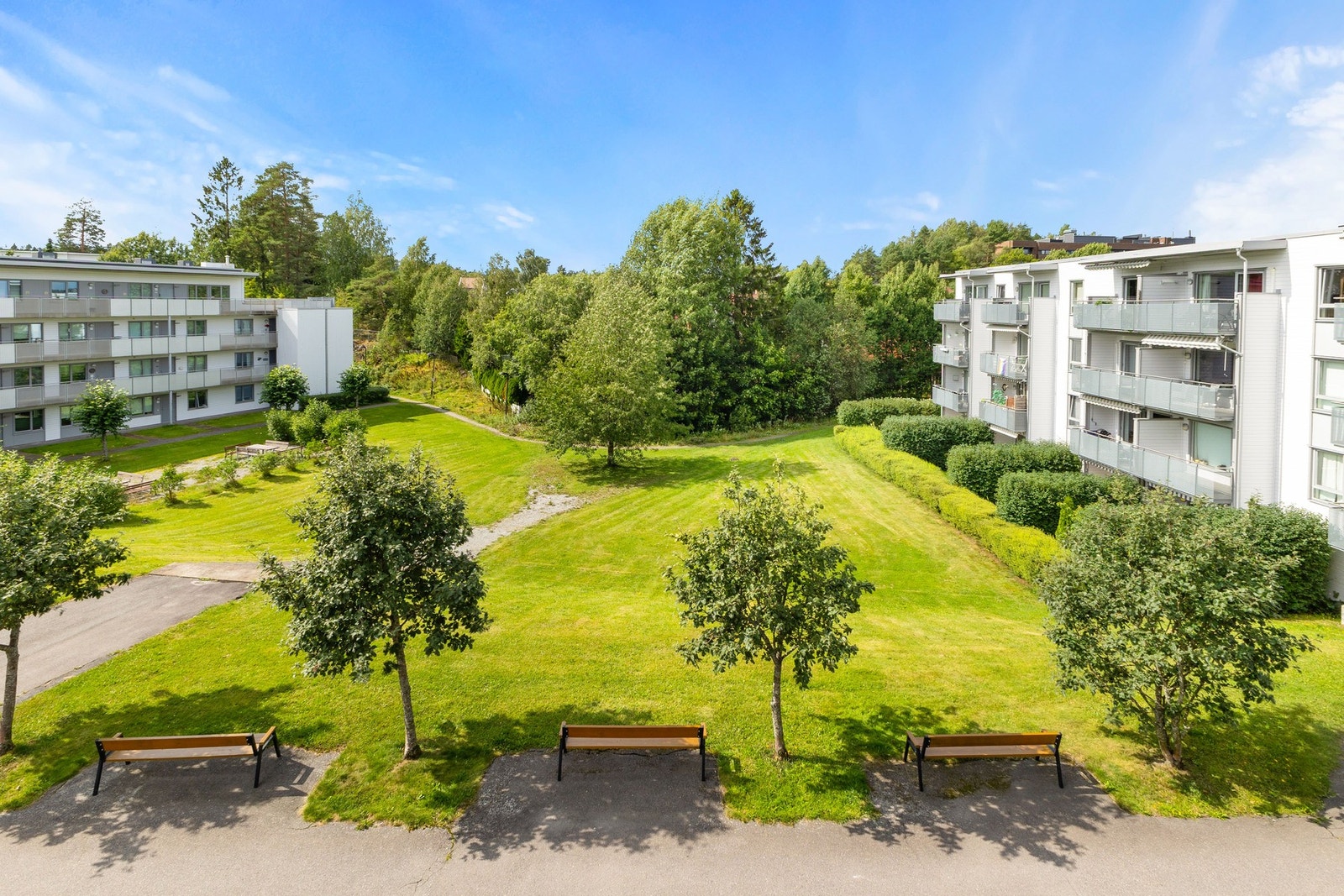 Flott utsyn Galleribilde