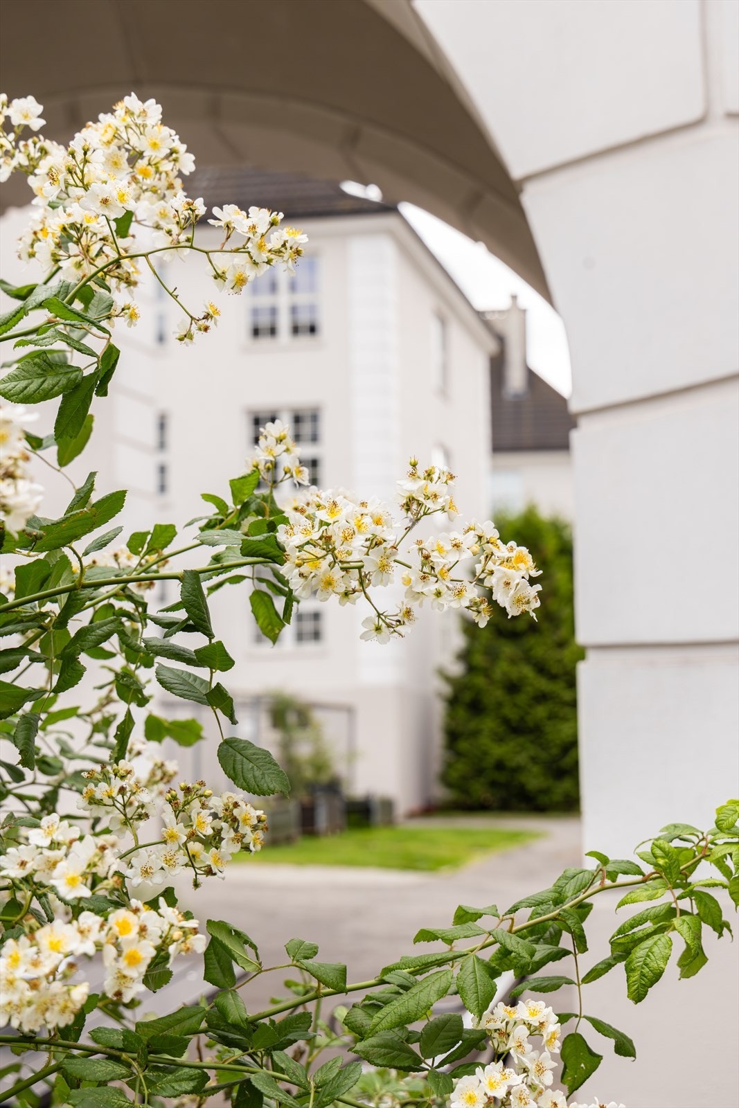 Detalj - gårdsrom. Galleribilde