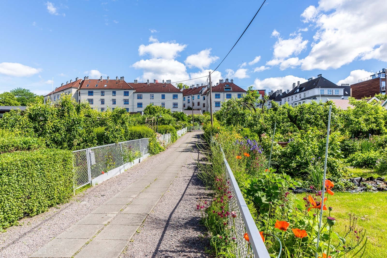 omra defoto-4112.jpg Galleribilde