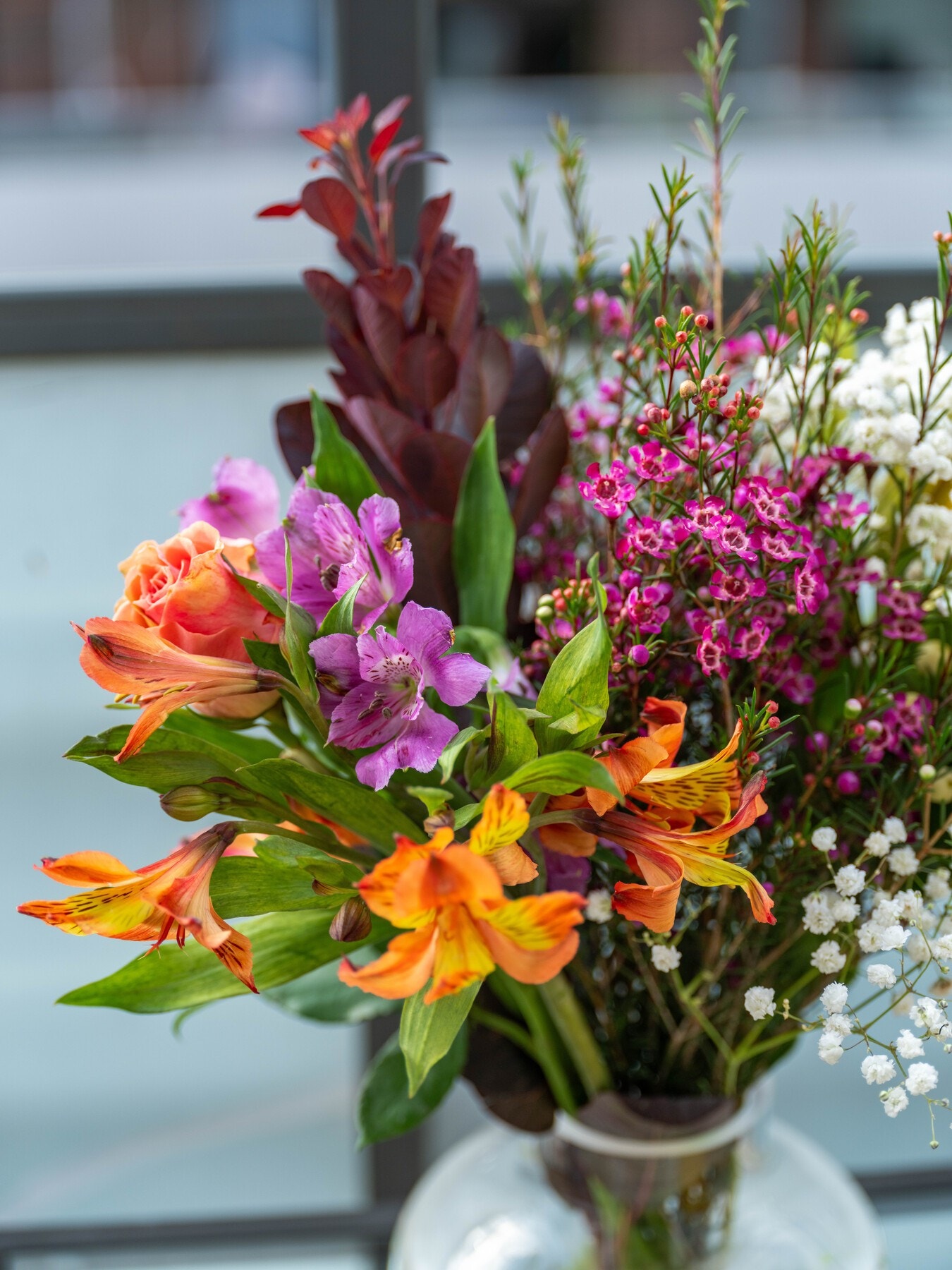 Sees vi? Galleribilde