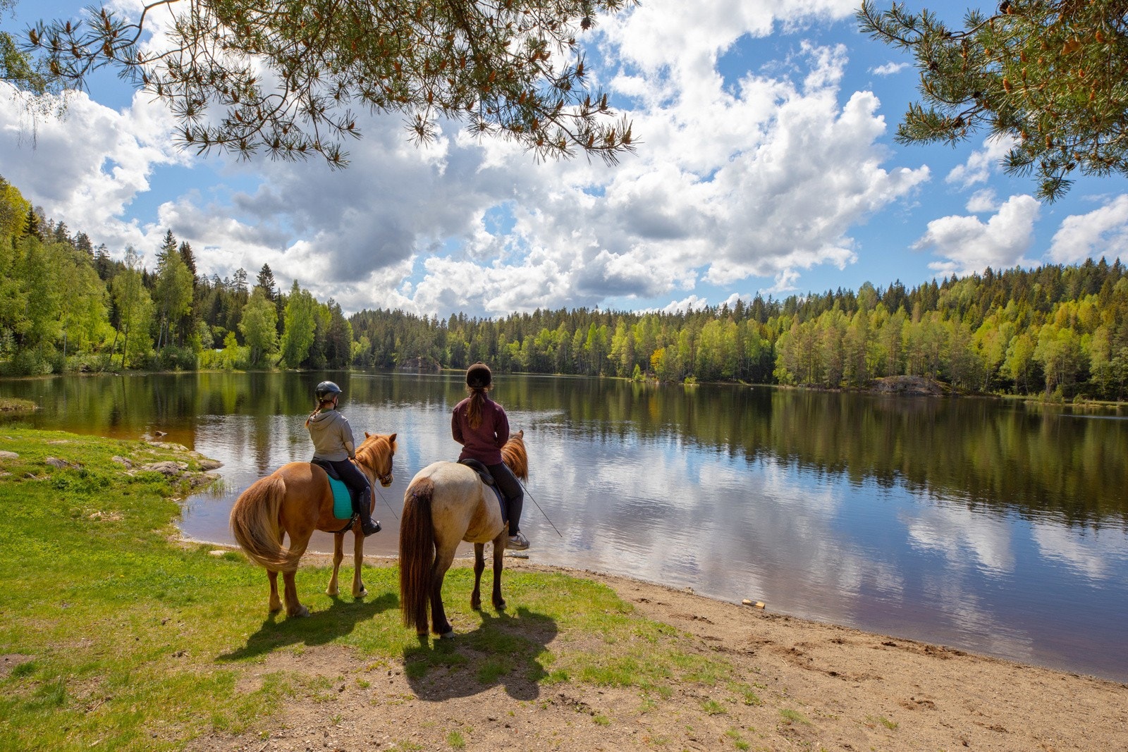 Idylliske Aamodtdammen med fantastiske bademuligheter, bålplass og toaletter. Galleribilde