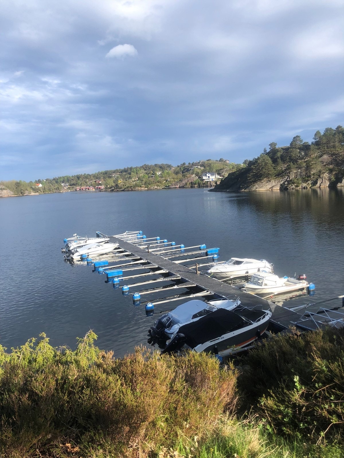 Bilde tatt av selger Galleribilde