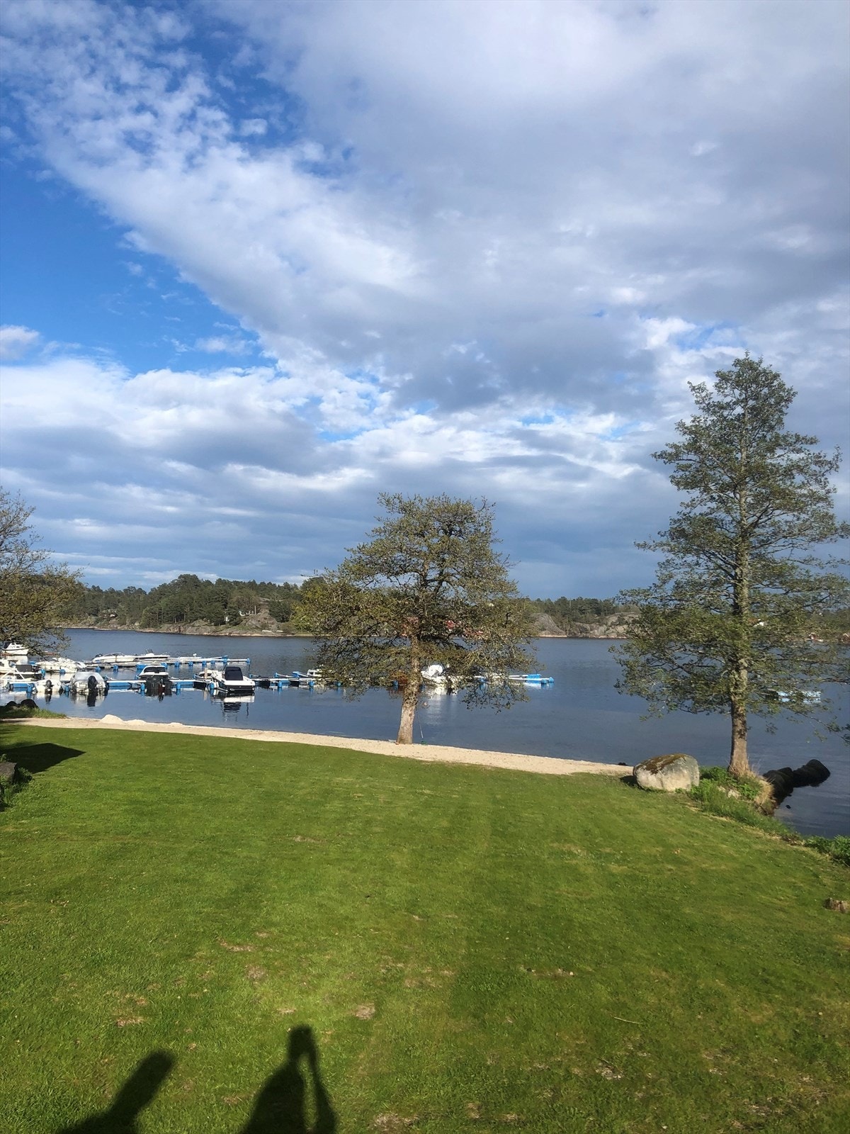 Bilde tatt av selger Galleribilde