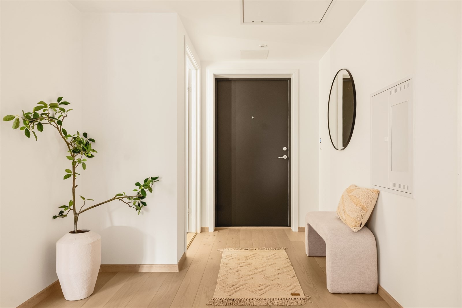 Romslig gang/entré med god plass til å henge fra seg tøy og sette fra seg sko. Galleribilde