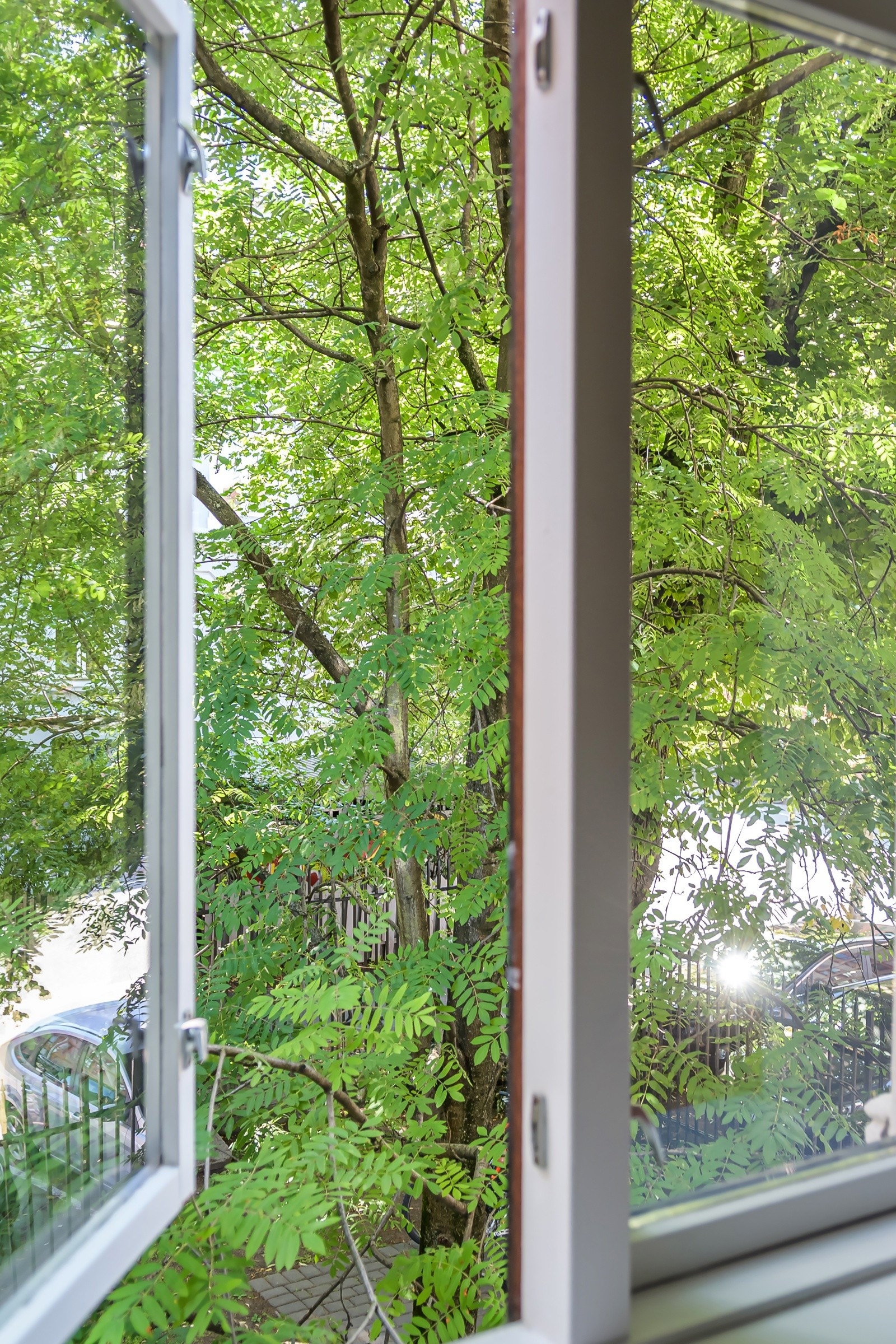 Fra soverommet er det frodig utsyn. Galleribilde