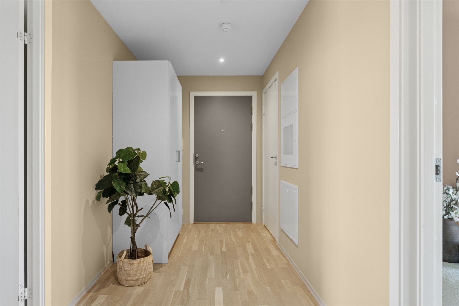 Velkommen til visning! Galleribilde