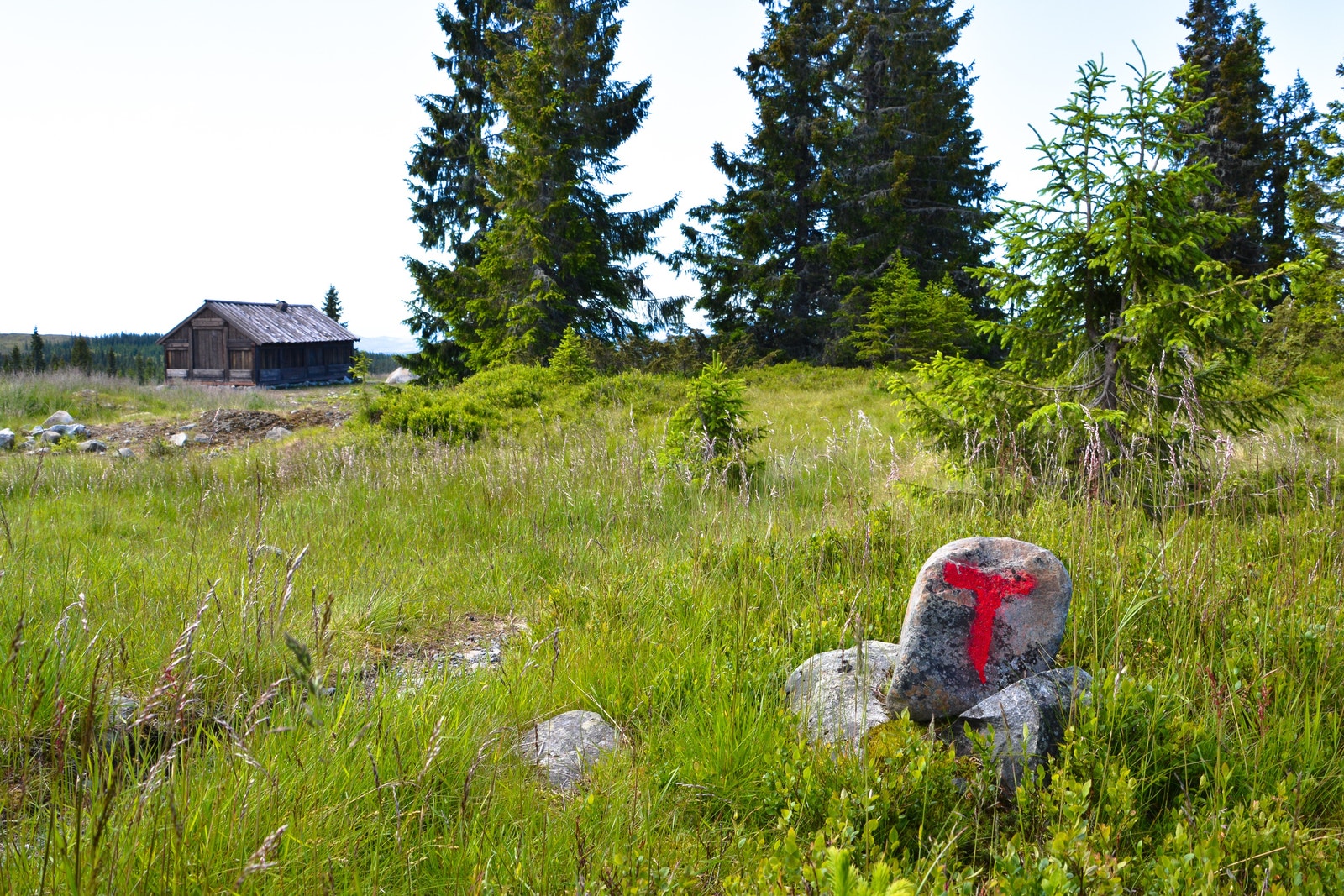 Oppmerkede turstier Galleribilde