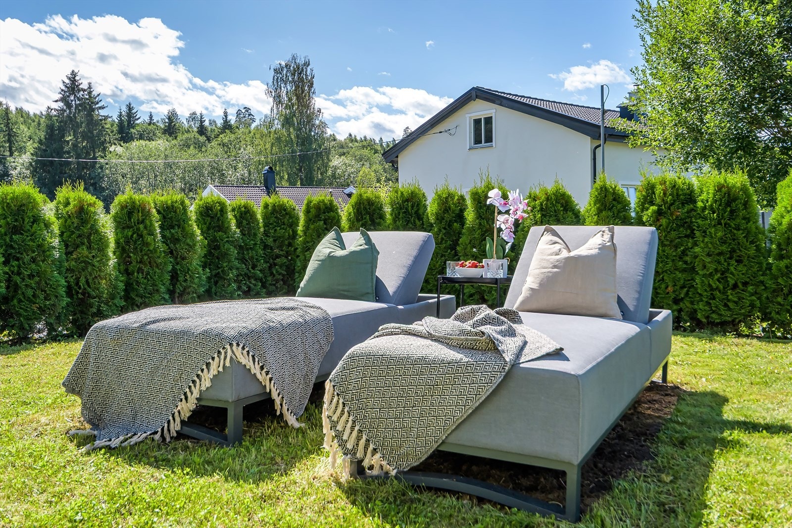 Solrik tomt. Galleribilde