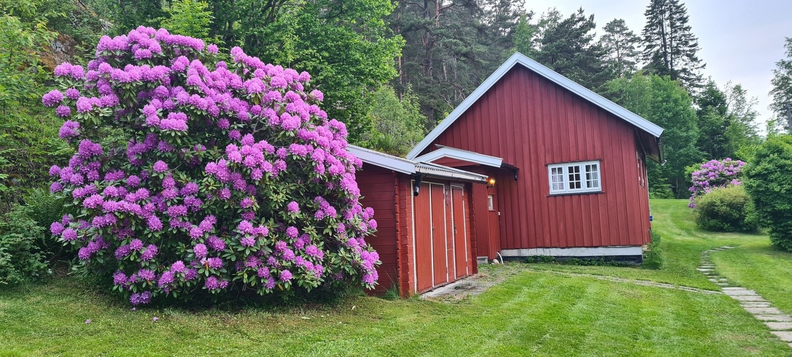 Hagen har store blomsterbusker som blant annet Rhododendron, som skaper en fargerik og livlig hage. Galleribilde