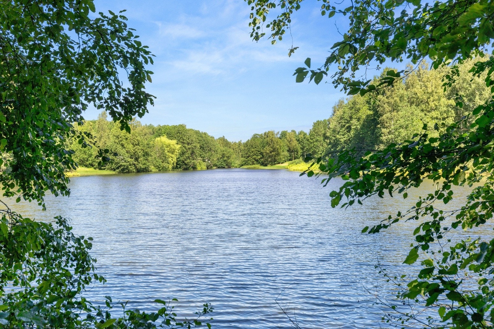 En kort og idyllisk spasertur gjennom skogen fører deg til vakre Blylagsdammen. Galleribilde