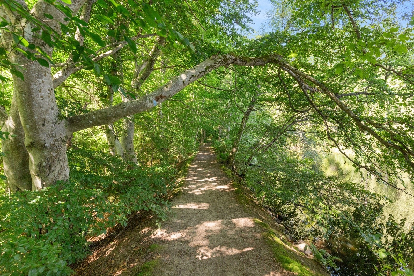 Eiendommen har en idyllisk og landlig beliggenhet på Blylaget i Nesodden kommune. Galleribilde
