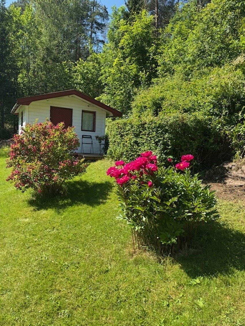 Frodig hage som byr på fargerike blomster og grønn plen. Galleribilde