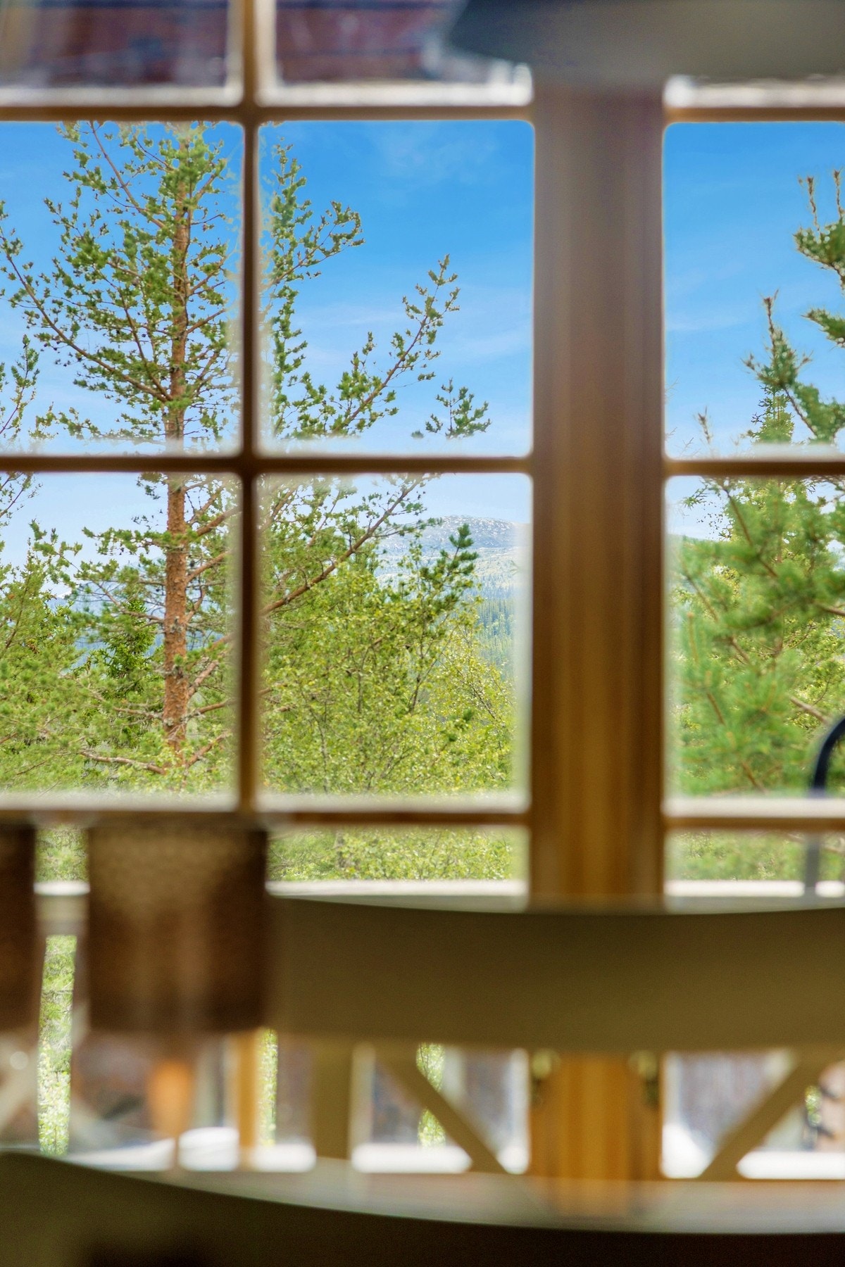 Detalj og utsyn fra fra spisestuen. Galleribilde