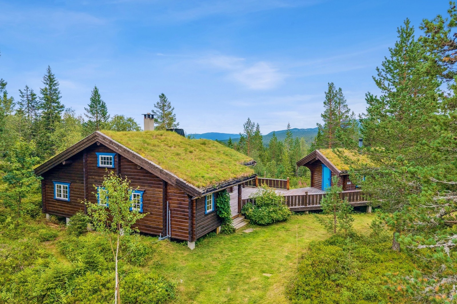 Et herlig førsteinntrykk! Galleribilde