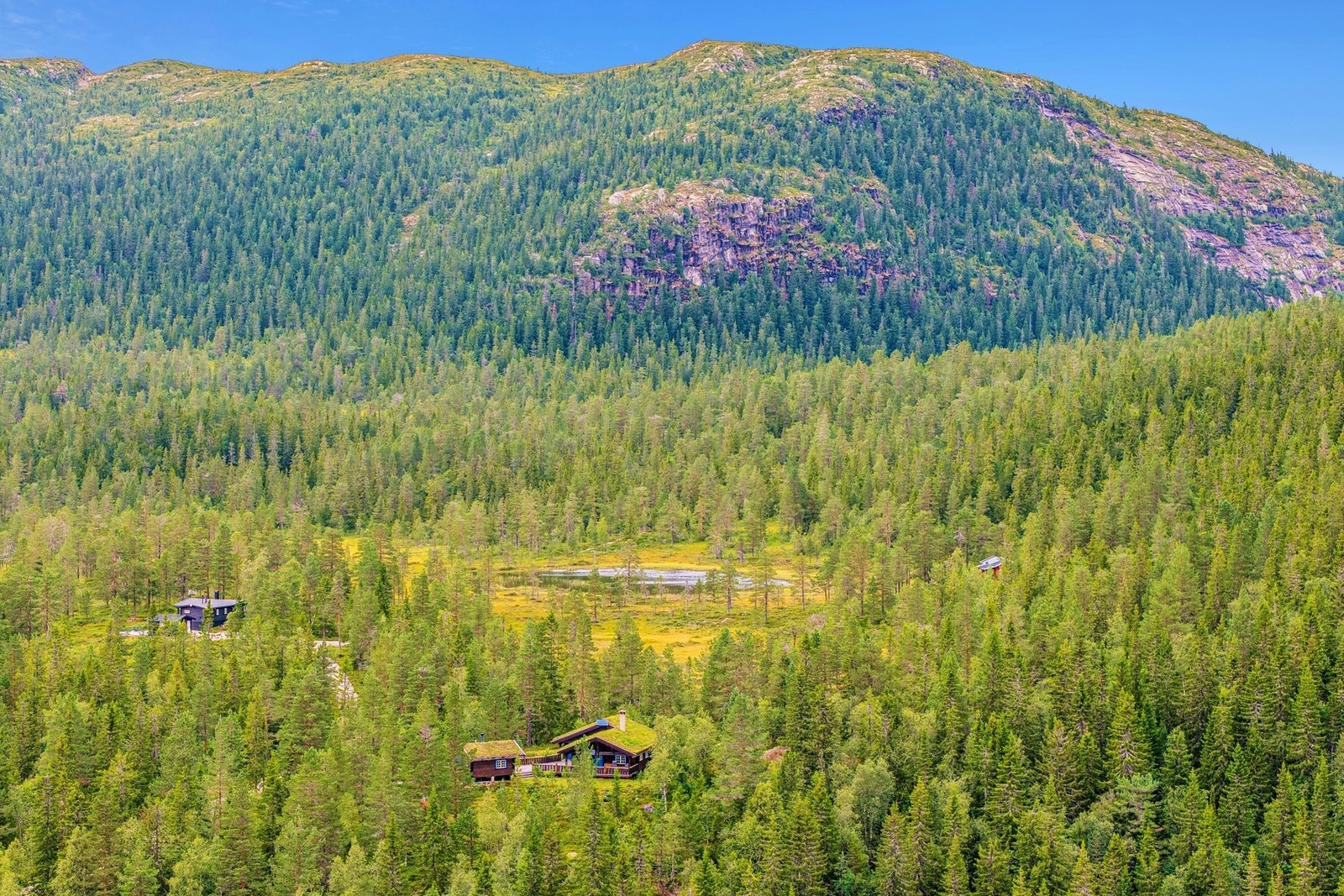 Hytta ligger omgitt av skogkledde åser, små vann og et velutviklet nettverk av tur- og skogsveier. Galleribilde