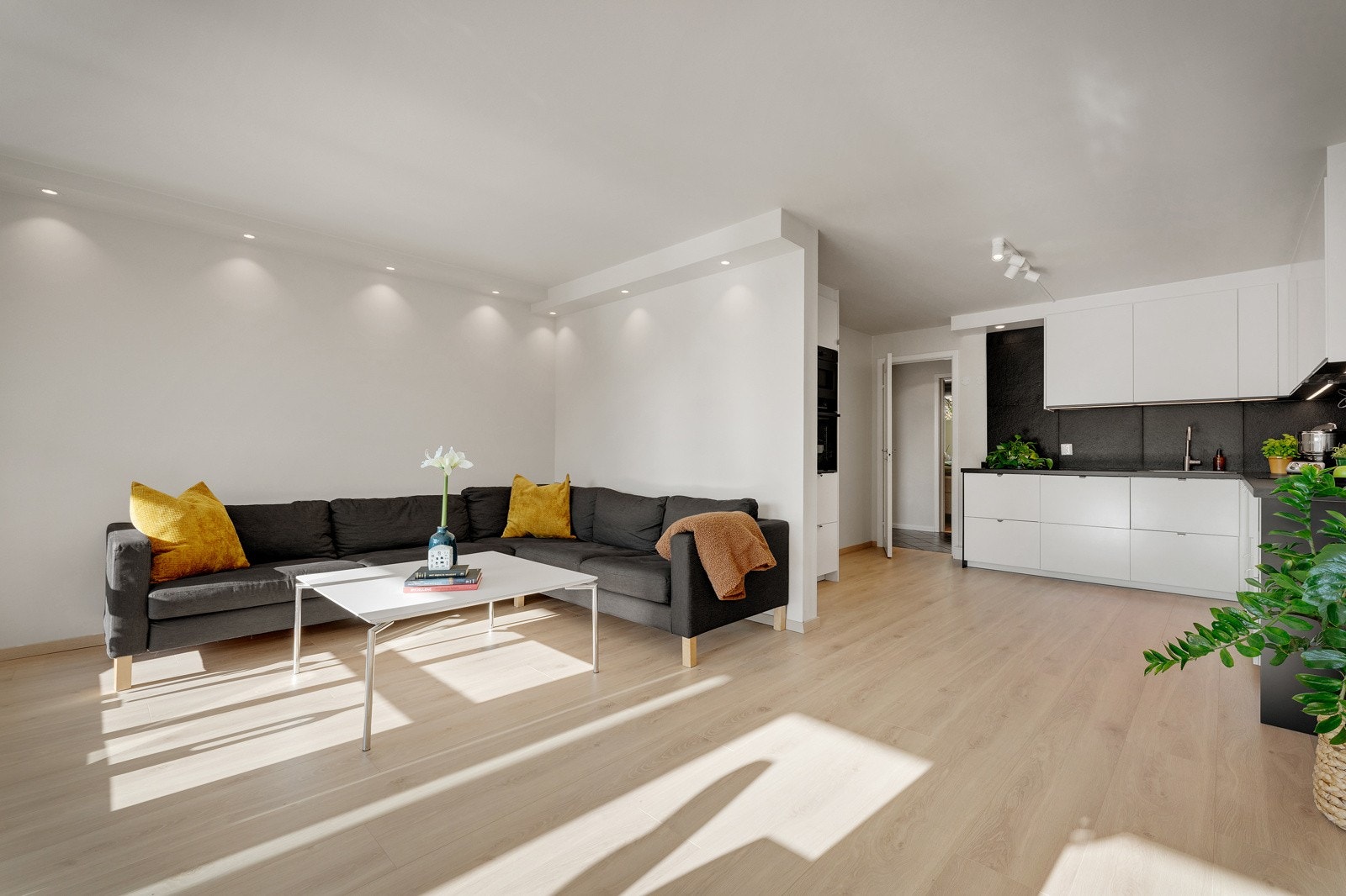 Rikelig plass til stor salong Galleribilde