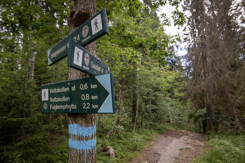 Nærhet til markagrensen med uendelige turmuligheter sommer som vinter. Galleribilde