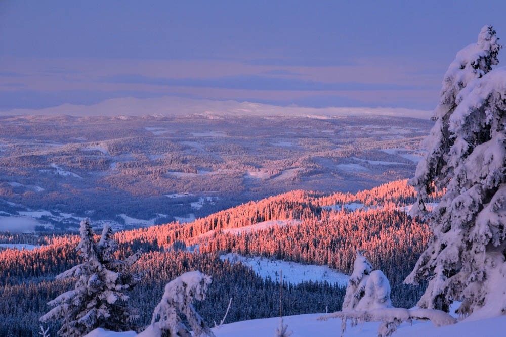 Solnedgang Galleribilde